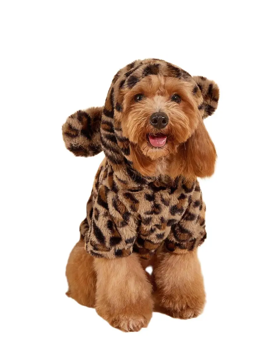ubranko dla psa leopard print
