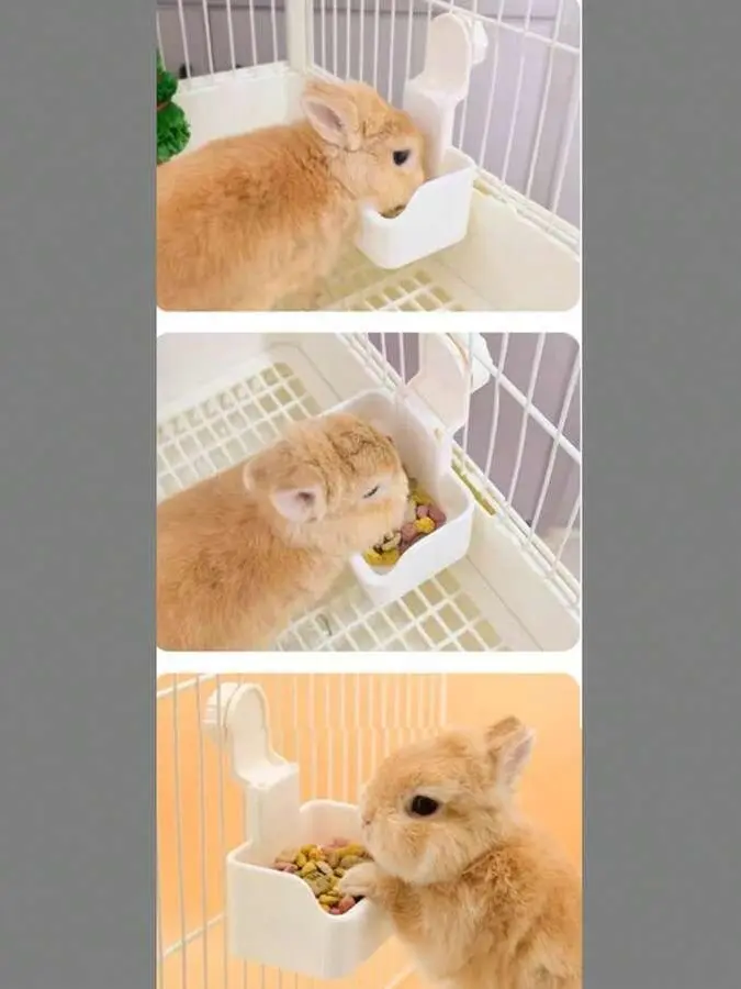 miska na karmę dla królików