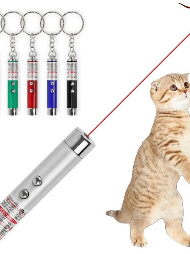 ZABAWKA DLA KOTA laser